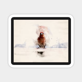 Small Bird on a Ledge Watercolor Portrait Magnet