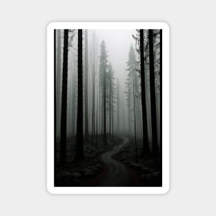 Pathway in a Misty Pine Forest Magnet