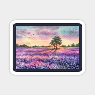 Lavender fields Magnet