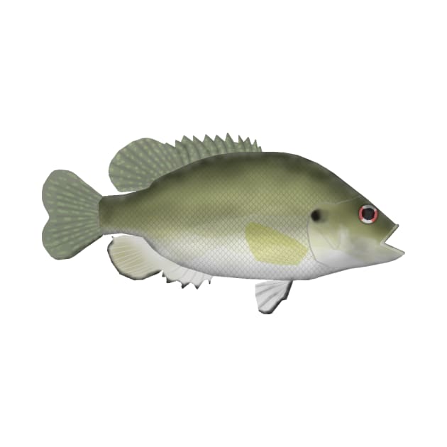 Roanoke Bass by FishFolkArt