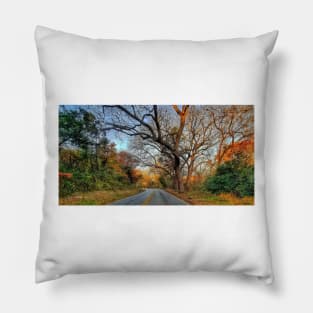 Hairy Man Road - Brushy Creek- Round Rock, Texas Pillow