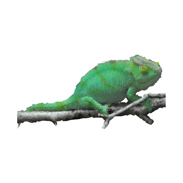 Low Poly Chameleon by TRIME