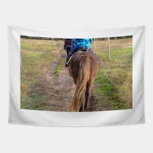 Brown pony croup with a long tail walking away Tapestry