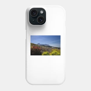 850_2285 Phone Case