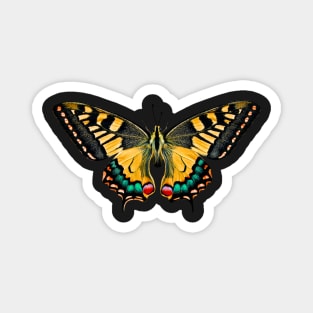 Special Colourful Butterfly | Entomology Lover Magnet