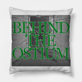 Behind the Ostium Pillow