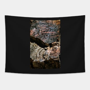 Petrified Forest Abstract Tapestry