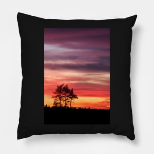 Watching the sunset Pillow