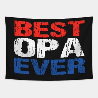 Netherlands Best Opa Ever Grandfather Dutch Flag Tapestry