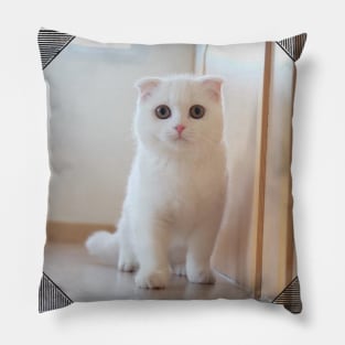 Arya the cute cats Pillow