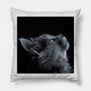 Gray Cat Pillow