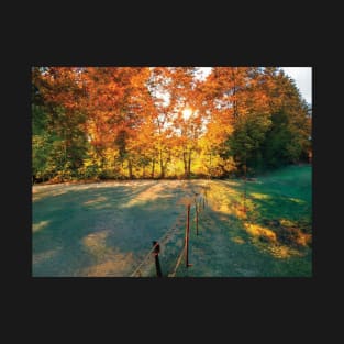 Golden Fall Picture T-Shirt