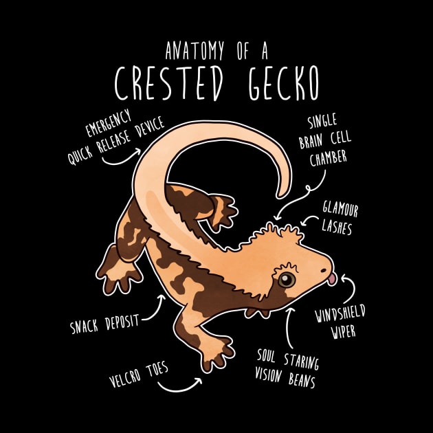 Crested Gecko Lizard Reptile Anatomy by Psitta