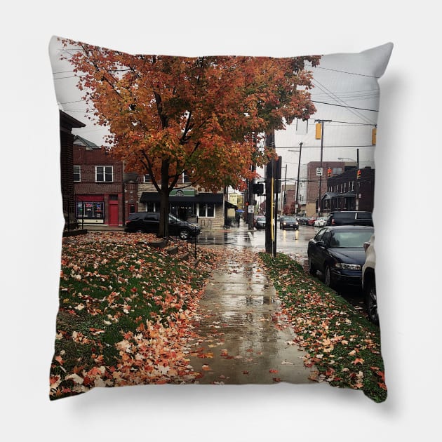 Rainy Autumn Day in Columbus, Ohio Pillow by offdutyplaces