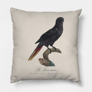 Black Lory / Le Lori Noir - Jacques Barraband 19th century Illustration Pillow