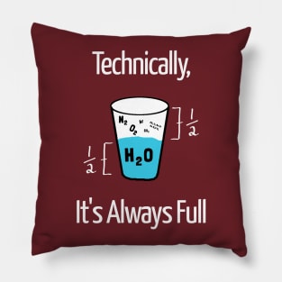 Funny Science Humor Pillow