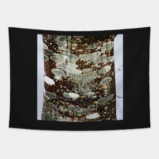 Tree trunk Tapestry