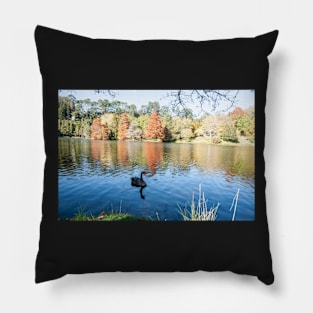 Autumn scenic lake and trees, black swan Pillow