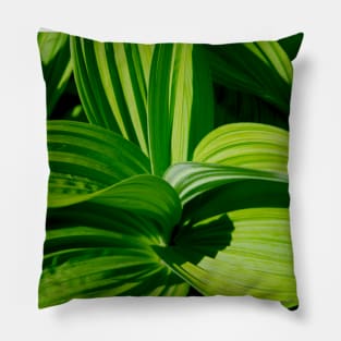 Green Leaves Pillow