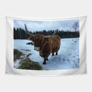 Scottish Highland Cattle Cow 2193 Tapestry