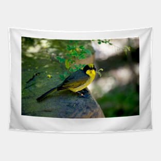 Helmeted Beauty Tapestry