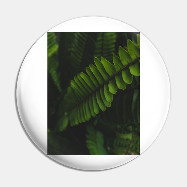 Green leafed plant photo Pin by mydesignontrack