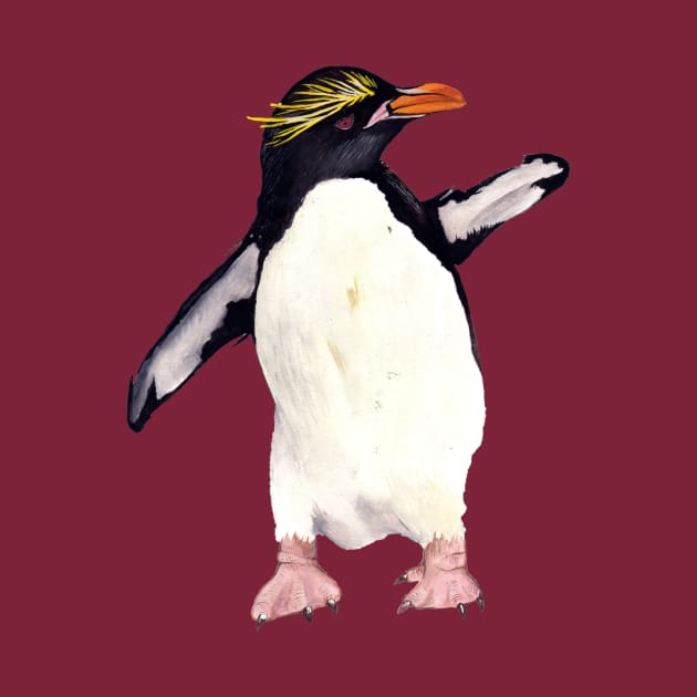 Macaroni Penguin by IndiasIllustrations