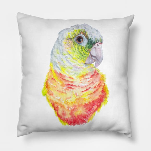 Green Cheeked Conure Pillow by ZoyaArt