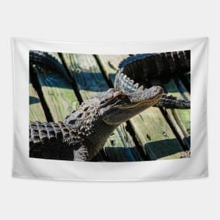 big smiling alligator Tapestry