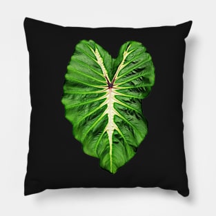 COLOCASIA WHITE LAVA Pillow