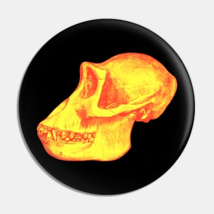 Gorilla Scull Illustration - Animal Skull Pin