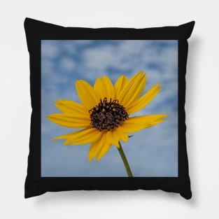 Yellow Flower with Sky and Sand Pillow