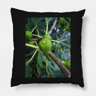 Summer Green Fig Fruit Pillow