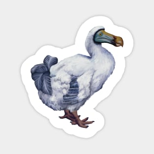 The extinct Dodo. Dodo illustration. Quirky, weird and fluffy. Have a piece of natural history. Unique gift. Magnet