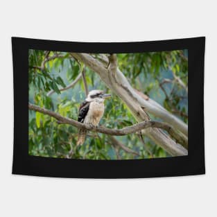 Kookaburra - In The Old Gum Tree Tapestry