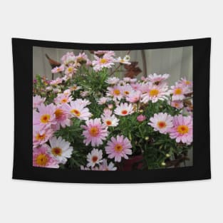 Argyranthemum - Honey Bees Summer Drops Tapestry