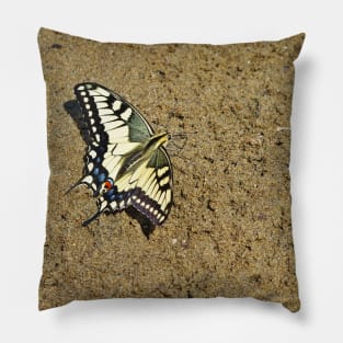 Sand Swallowtail Butterfly Pillow