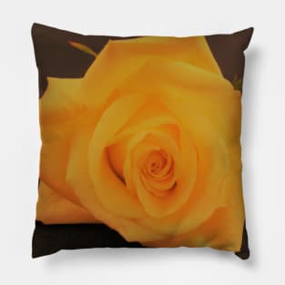 Macro of Yellow Rose Pillow