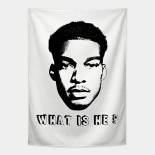 Wembanyama - what is he ? Tapestry