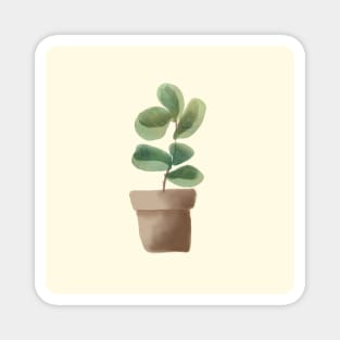 Ficus plant in a pot Magnet