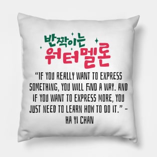 Twinkling Watermelon Korean Drama Quote Pillow