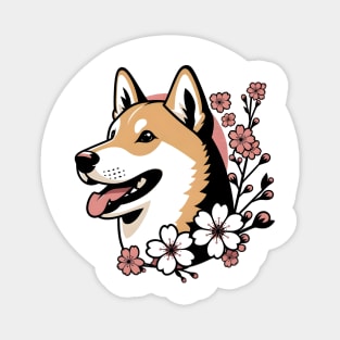 Canaan Dog Welcomes Spring with Cherry Blossoms Elegance Magnet