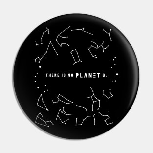 There is No Planet B Pin