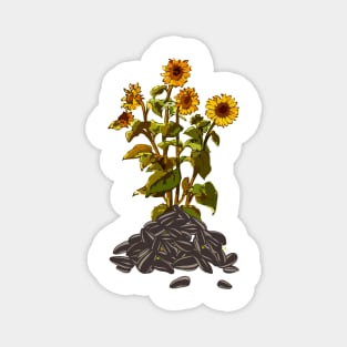 Sunflower Minimalist Vintage Retro Flora Positive Seed Magnet