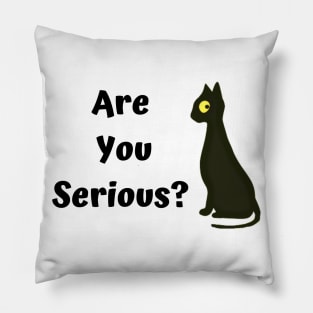 Are you serious? Funny cat Pillow