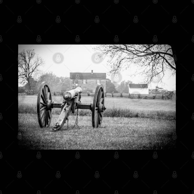 View from Artillery Manassas Virginia by Enzwell