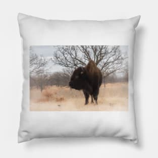 Grazing American Bison Woolaroc Oklahoma Pillow