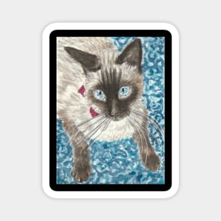 Milo Siamese  cat Magnet