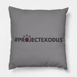 PER 13 Pillow