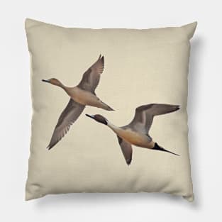 Pintails in the Sky Pillow